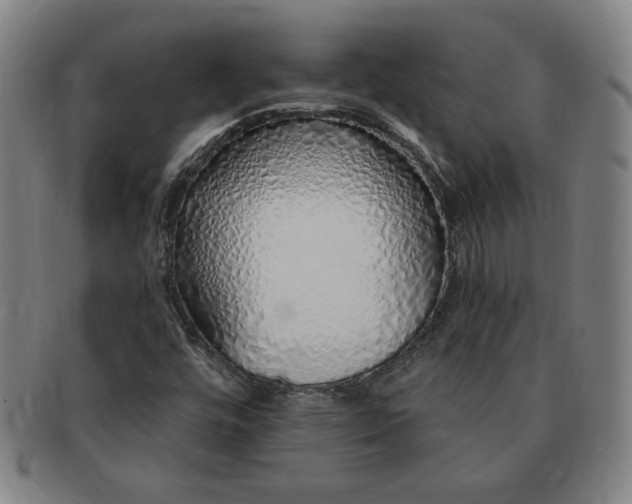 X0000091191448200708231458