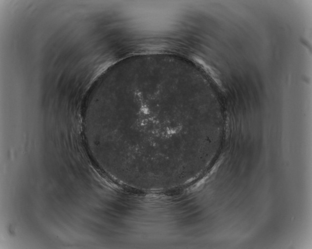 X0000091191449200708231458