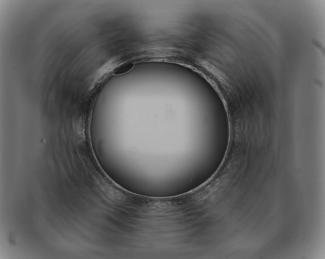 X0000091191451200708231458