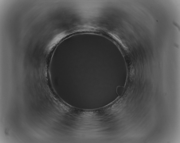 X0000091191455200708231458