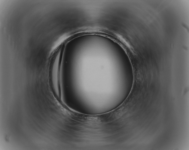 X0000091191456200708231458