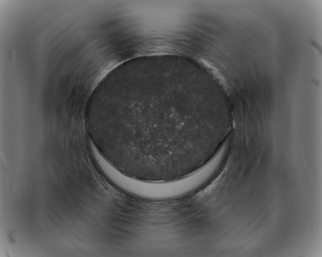 X0000091191457200708231458