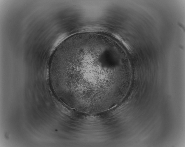 X0000091191459200708231458