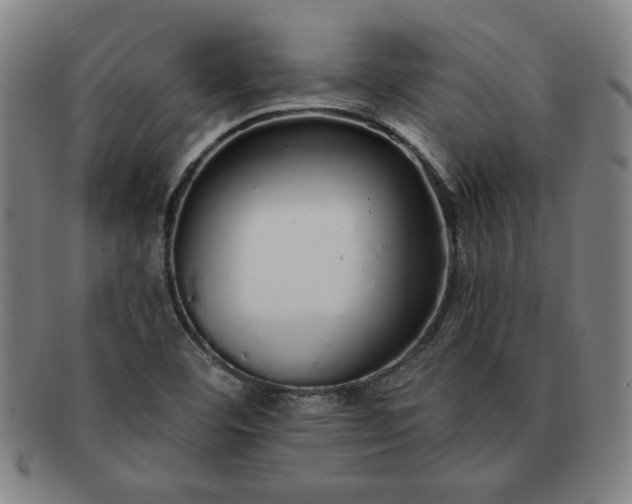 X0000091191460200708231458