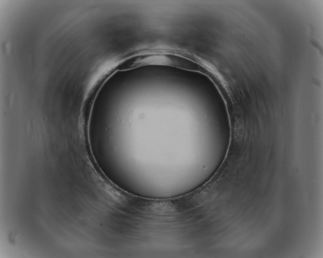X0000091191464200708231458