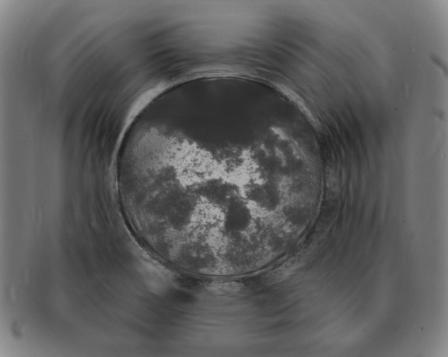 X0000091191466200708231458