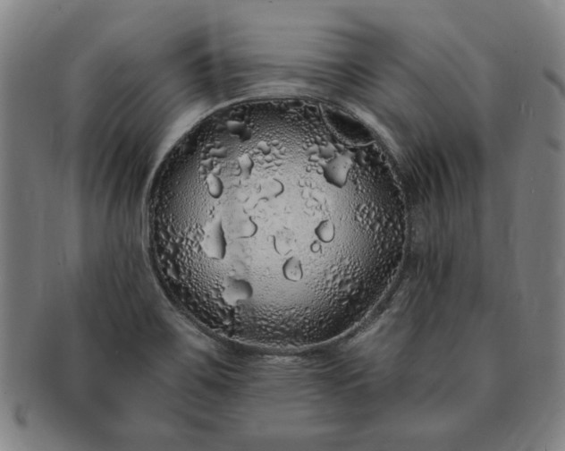 X0000091191467200708231458