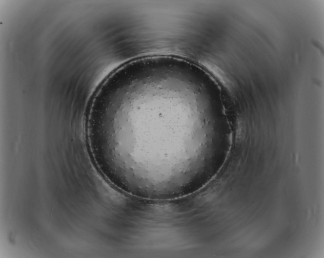 X0000091191468200708231458