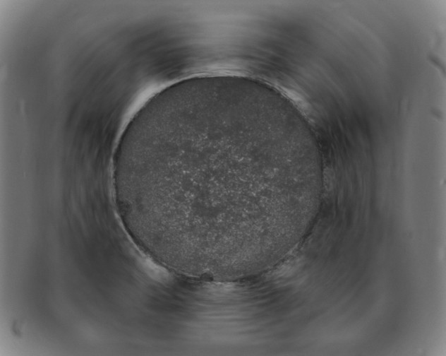 X0000091191470200708231458