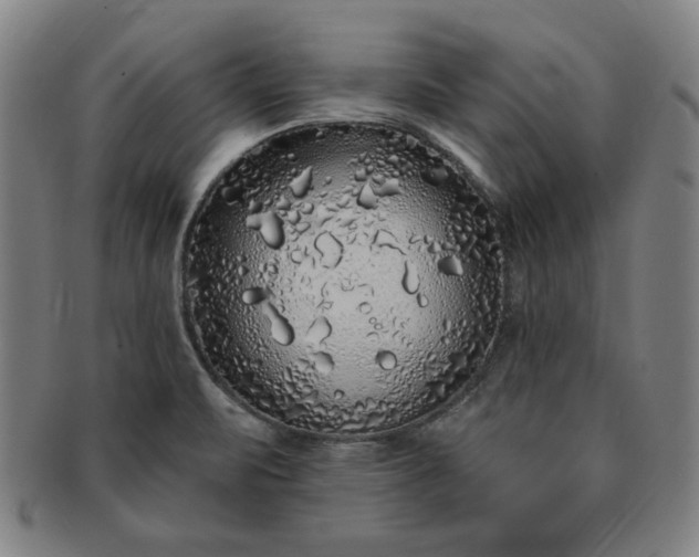 X0000091191471200708231458