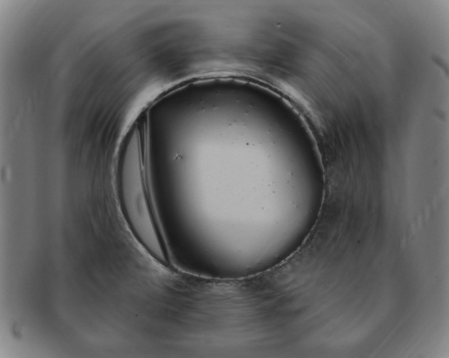 X0000091191472200708231458