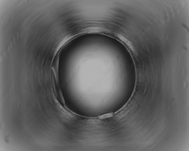 X0000091191473200708231458