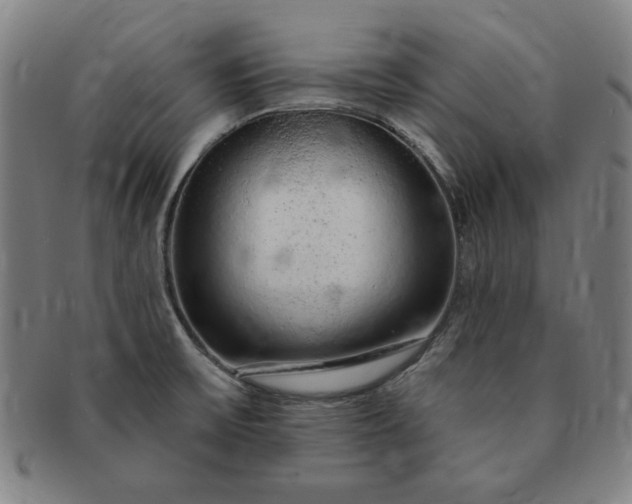 X0000091191475200708231458
