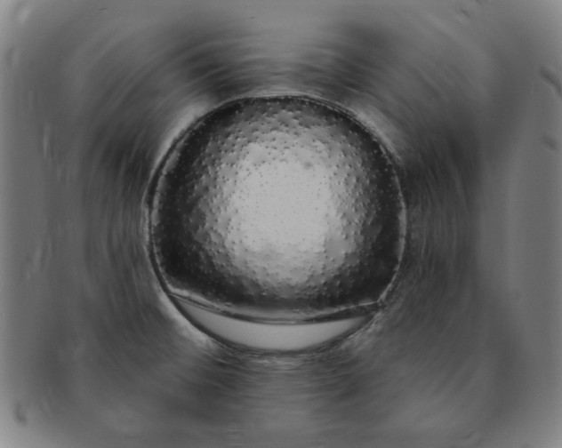 X0000091191476200708231458