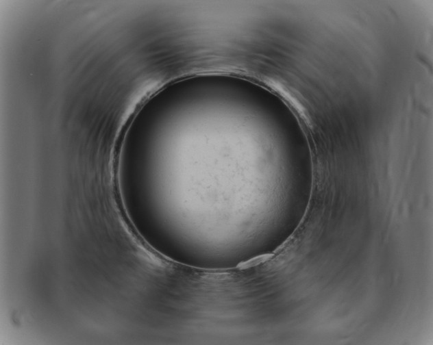 X0000091191477200708231458