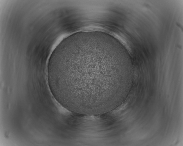 X0000091191478200708231458