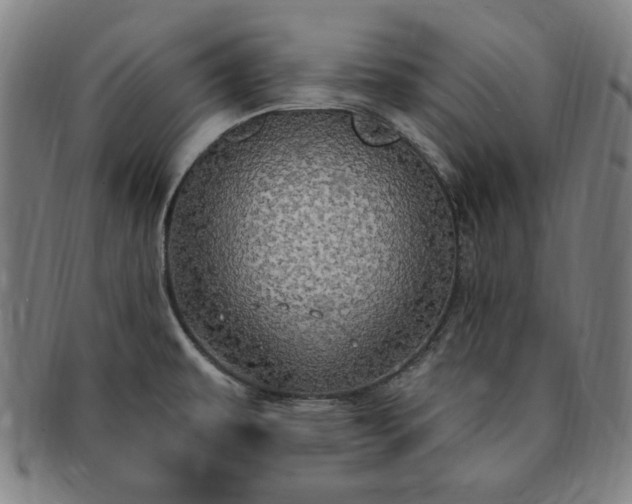 X0000091191479200708231458