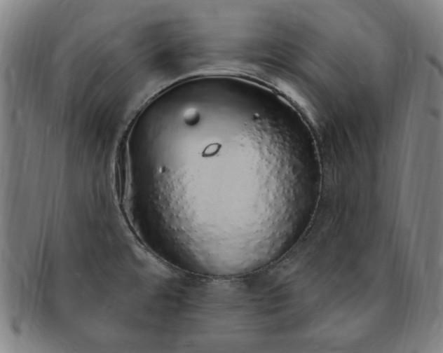 X0000091191480200708231458