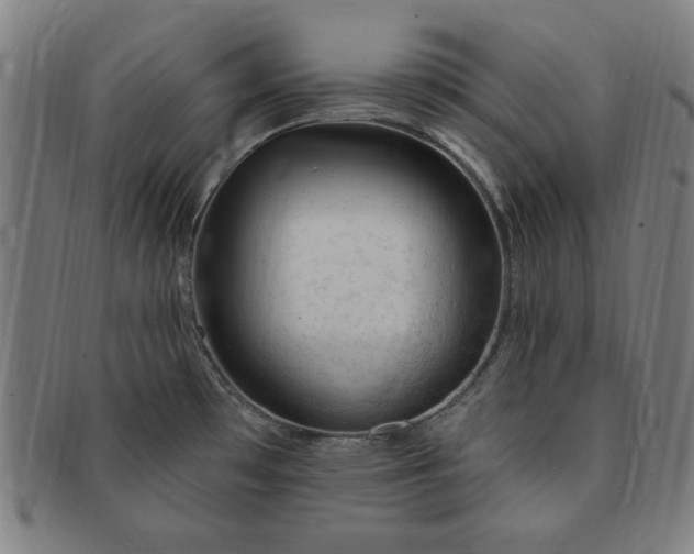 X0000091191481200708231458
