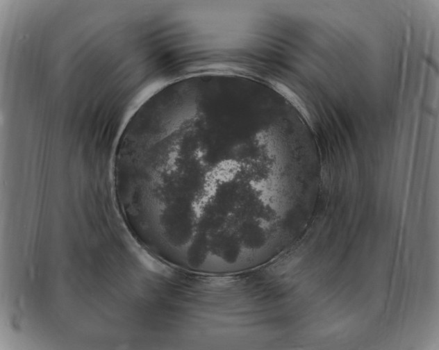 X0000091191482200708231458