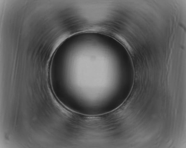 X0000091191483200708231458