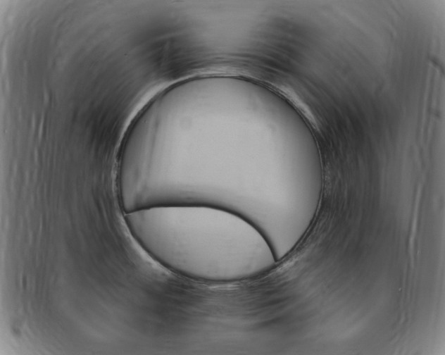X0000091191484200708231458