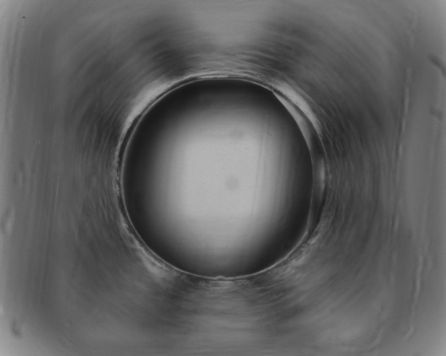 X0000091191485200708231458