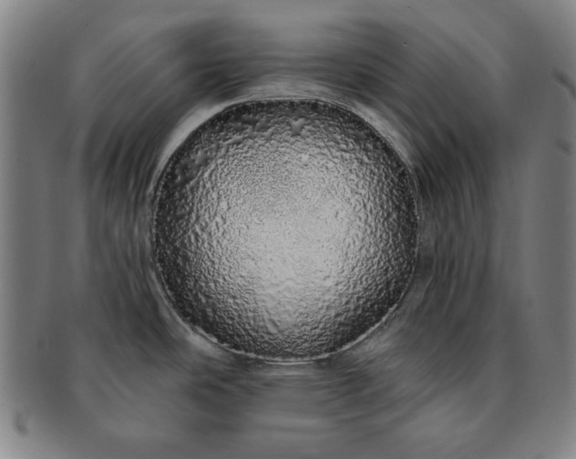 X0000091191486200708231458