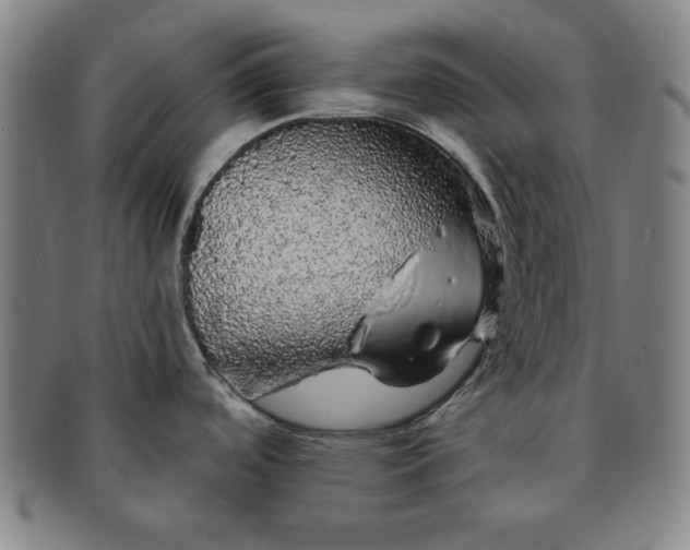 X0000091191488200708231458