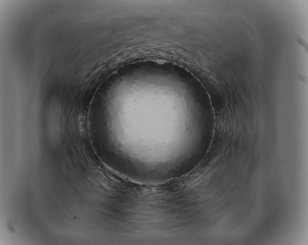 X0000091191490200708231457