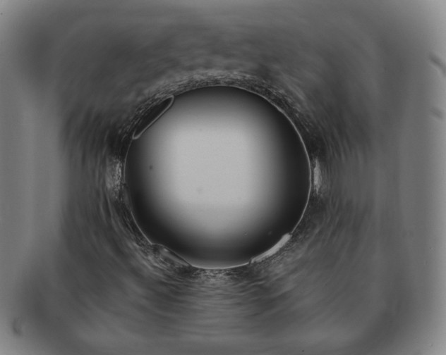 X0000091191492200708231457