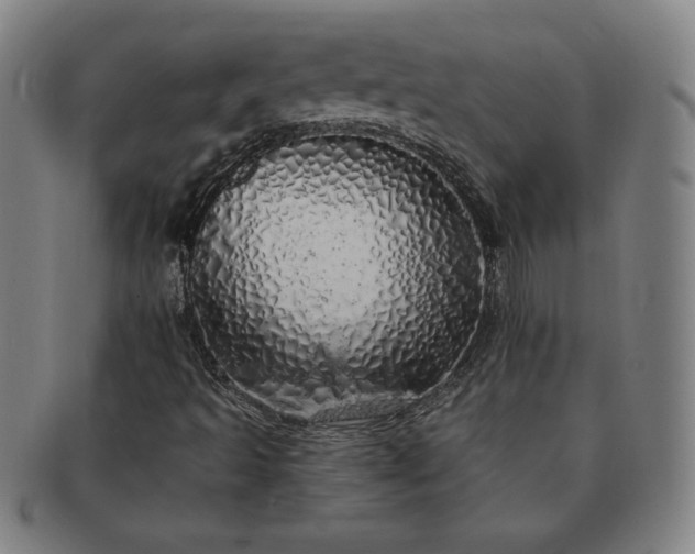 X0000091191493200708231457