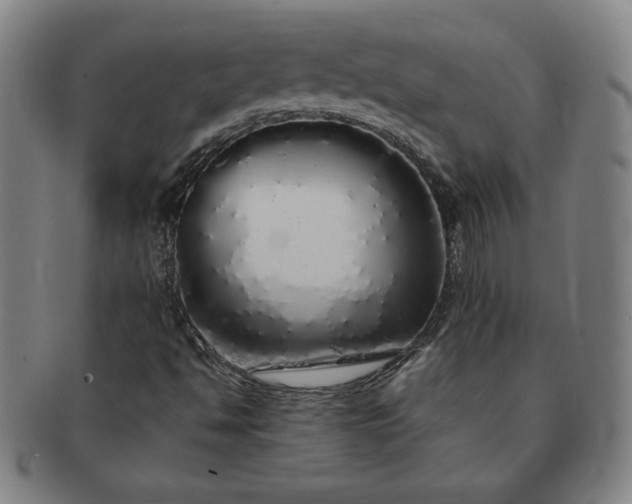 X0000091191494200708231457