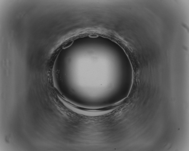 X0000091191496200708231457