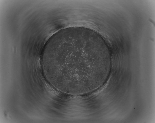 X0000091191497200708231457