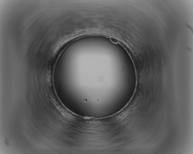 X0000091191499200708231457