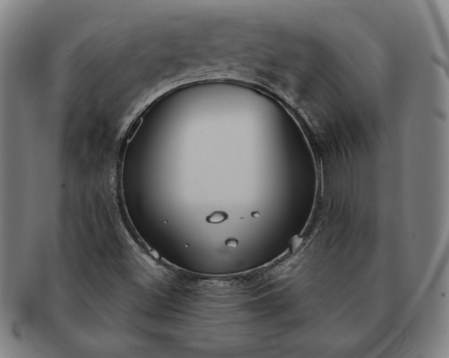 X0000091191500200708231457