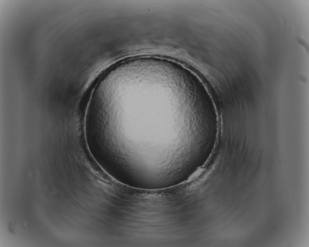 X0000091191501200708231457