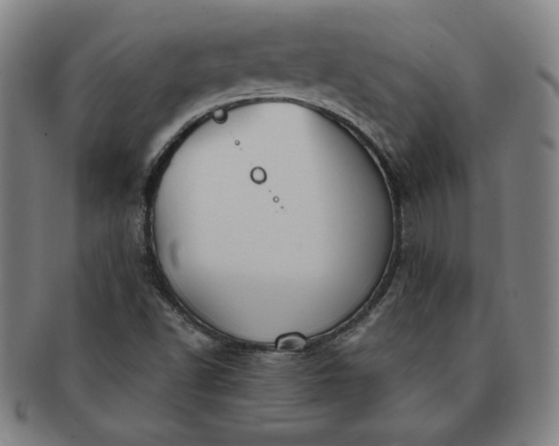 X0000091191502200708231457