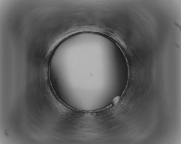 X0000091191504200708231457