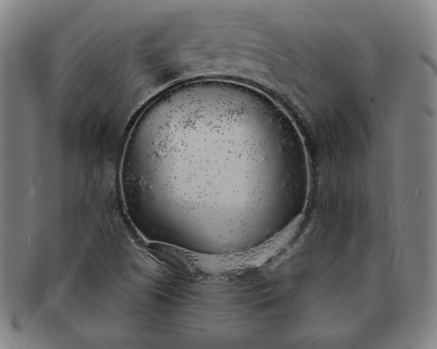 X0000091191505200708231457