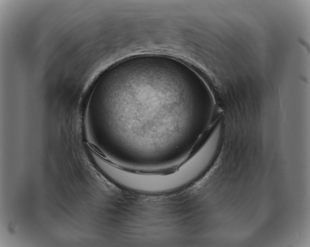 X0000091191506200708231457
