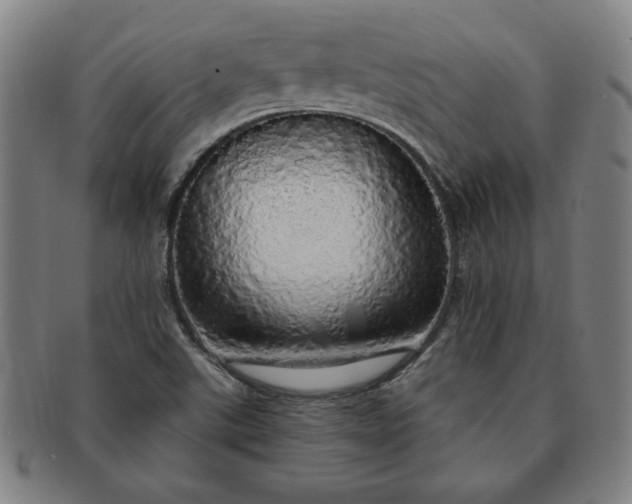 X0000091191507200708231457