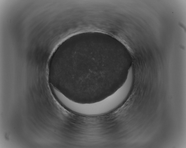 X0000091191508200708231457