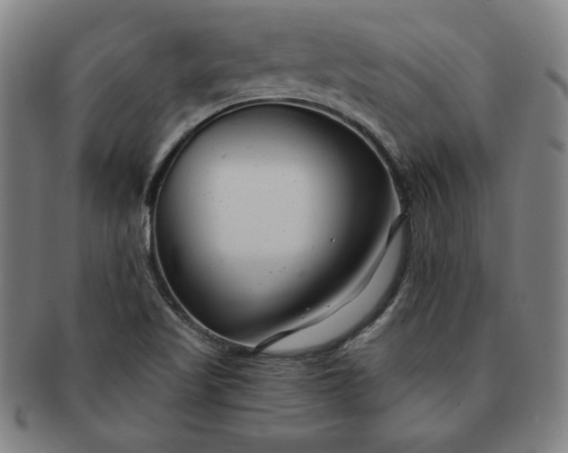 X0000091191509200708231457
