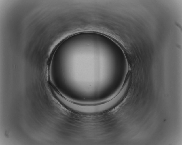 X0000091191510200708231457