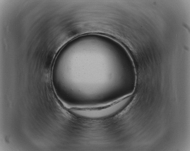 X0000091191513200708231457