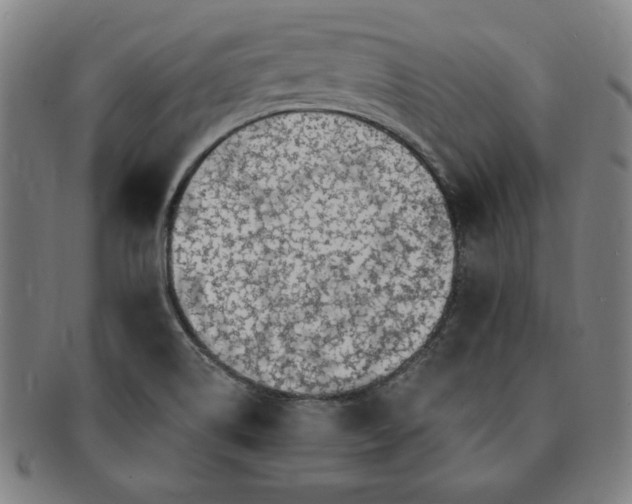 X0000091191514200708231457