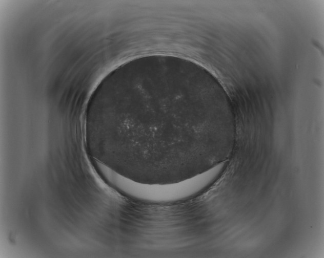 X0000091191515200708231457