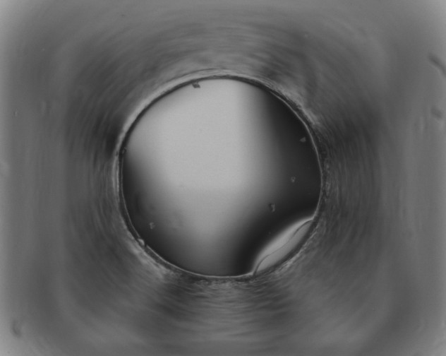 X0000091191516200708231457